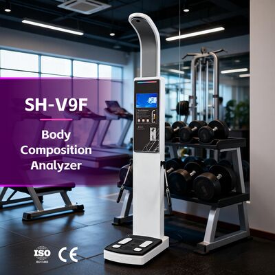Fitness Center Use Body Composition Analysis Fat Scanner for BMI Body Fat and Muscle Scan Body Analyzer OEM Body Analyzer