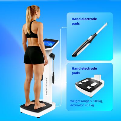 Body Composition Analyzer Body Health Inbody 270 Fat Analysis Body Composition Scale