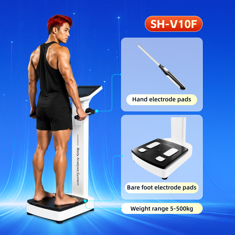 Multifunctional Human Composition Analyzer Bio High-Precision Electrical Body Fat Scale